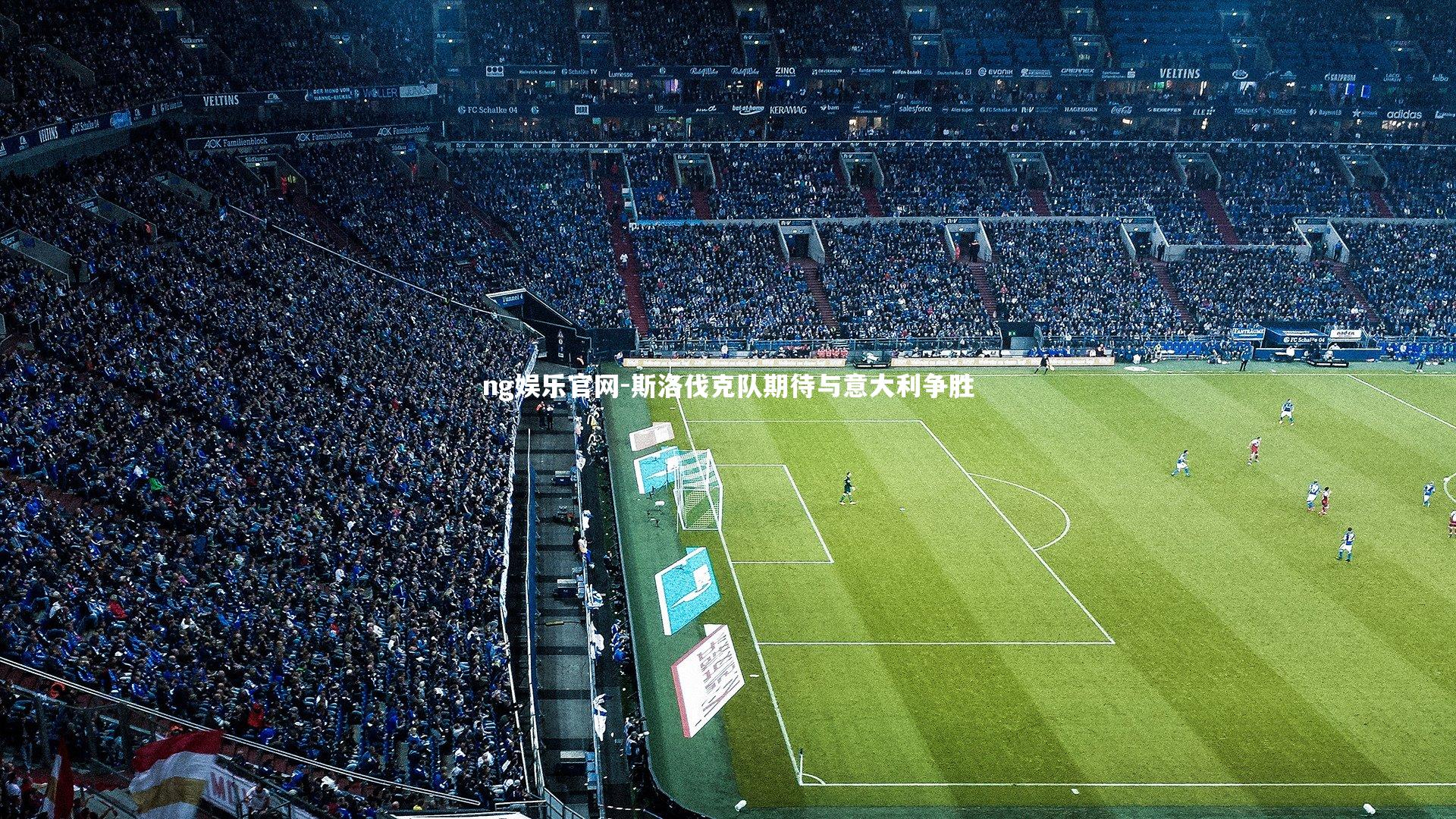 ng娱乐官网-斯洛伐克队期待与意大利争胜